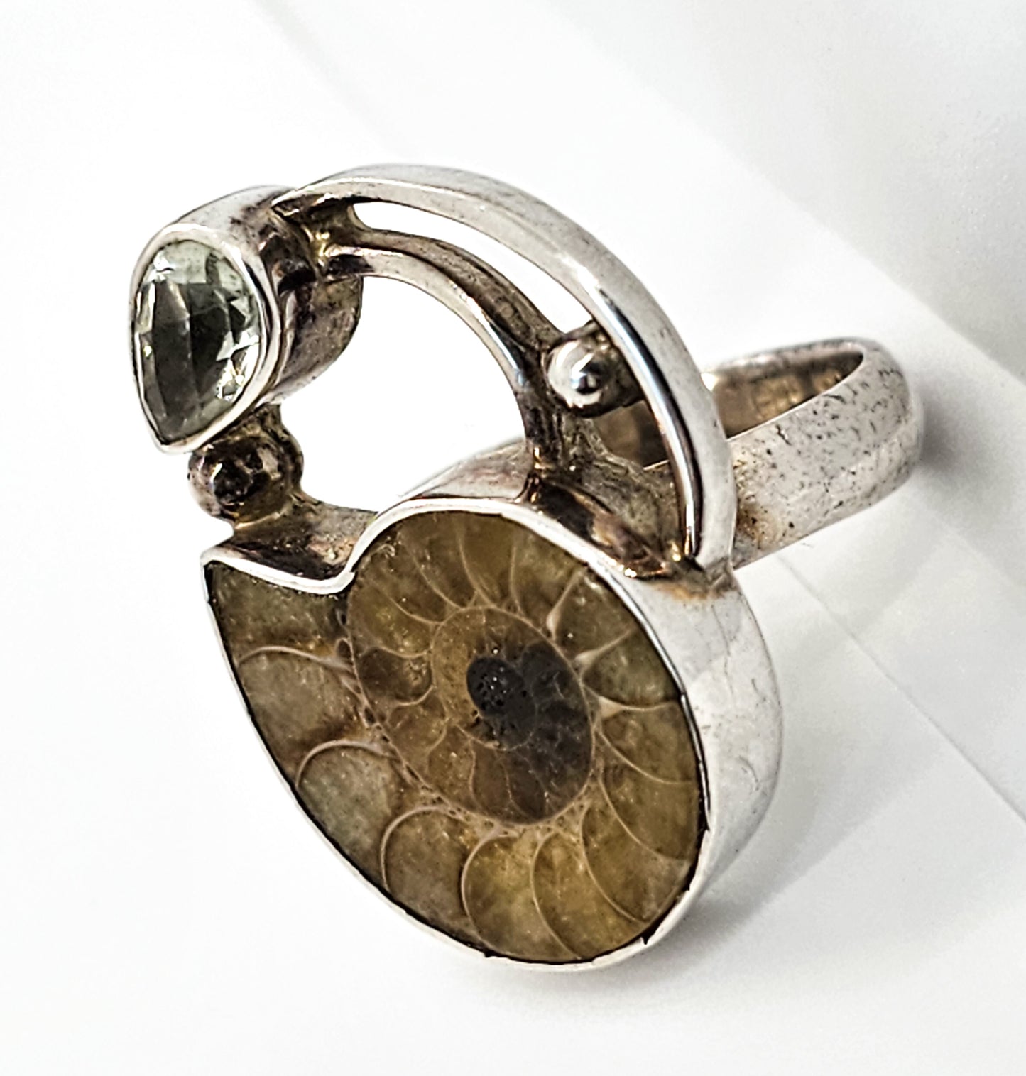 Arya Ammonite and Aquamarine Large sterling silver statement ring size 6