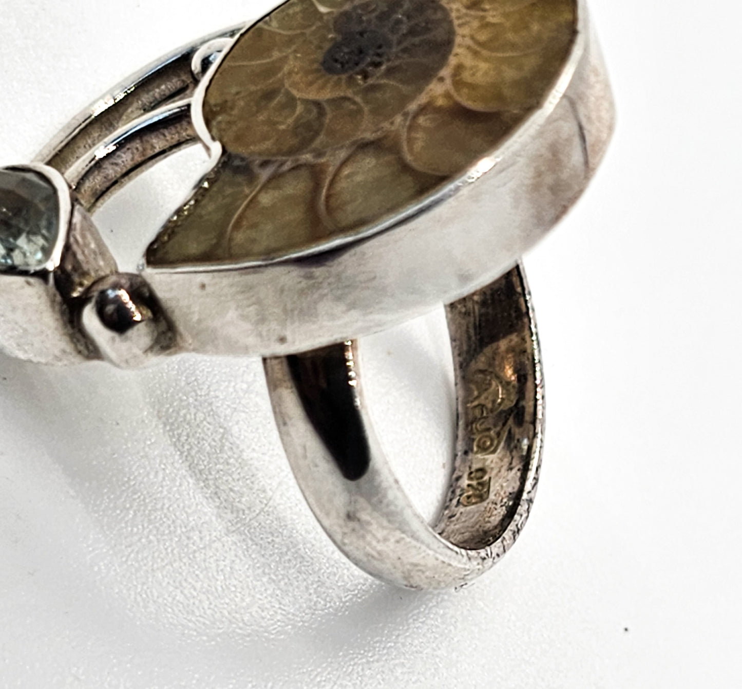 Arya Ammonite and Aquamarine Large sterling silver statement ring size 6