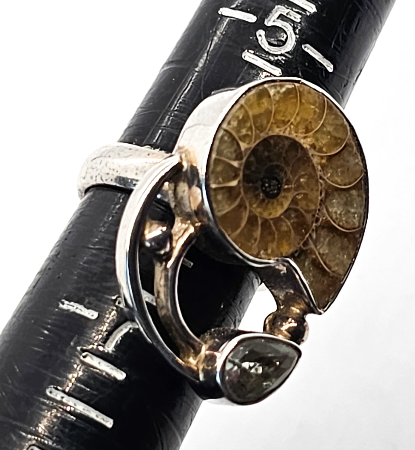Arya Ammonite and Aquamarine Large sterling silver statement ring size 6