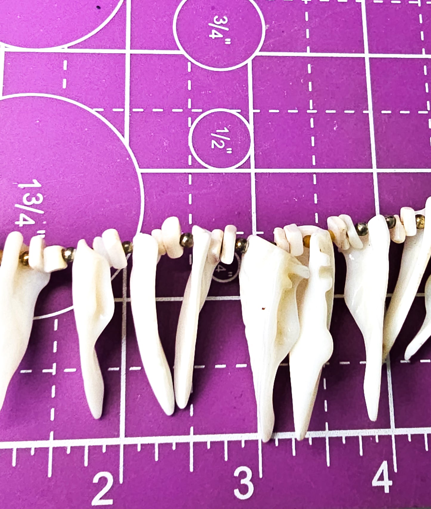 Mermaid collar Conch shell vintage  natural beaded statement necklace