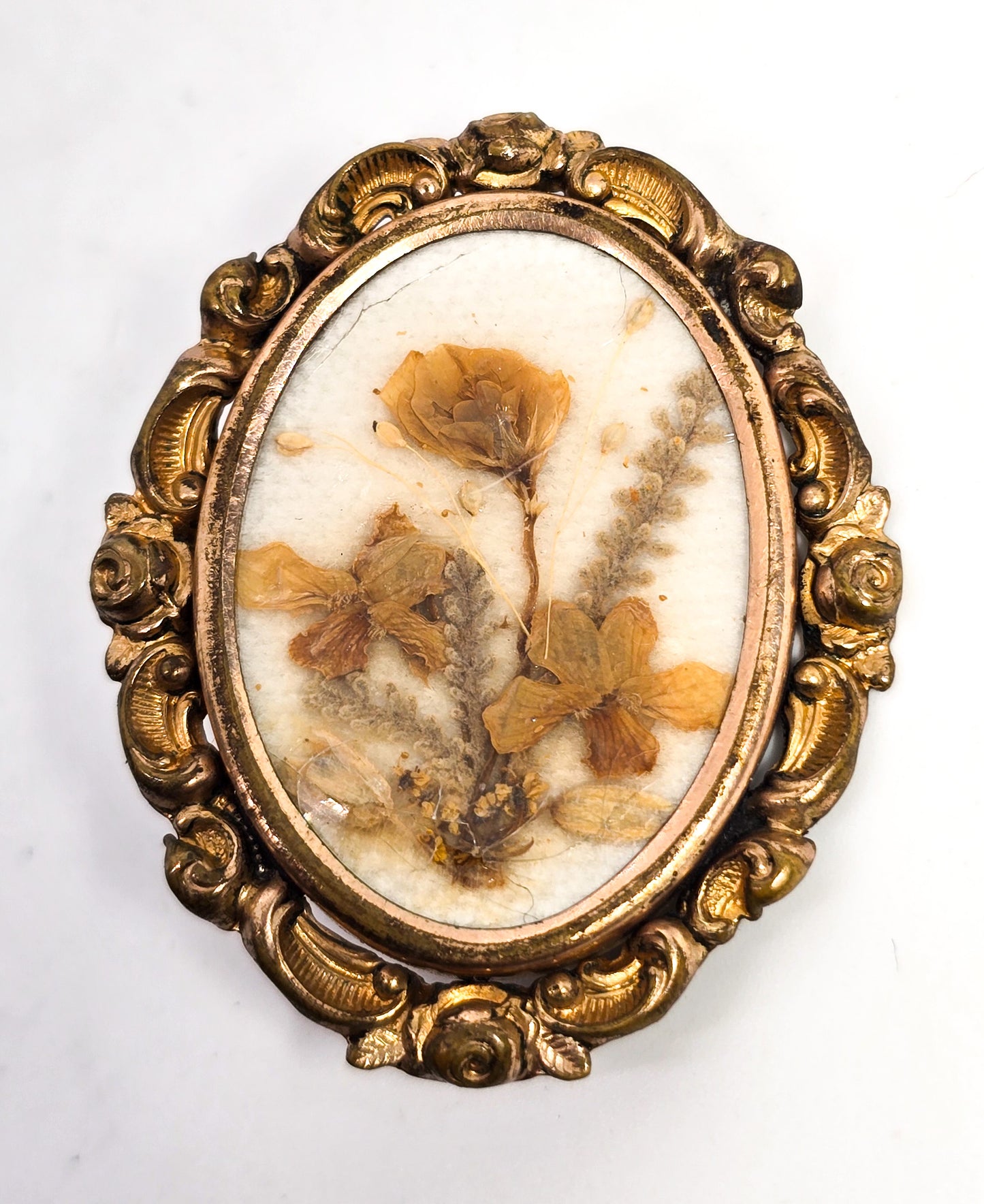 Memento Mori dried flower gold filled antique Mourning jewelry brooch