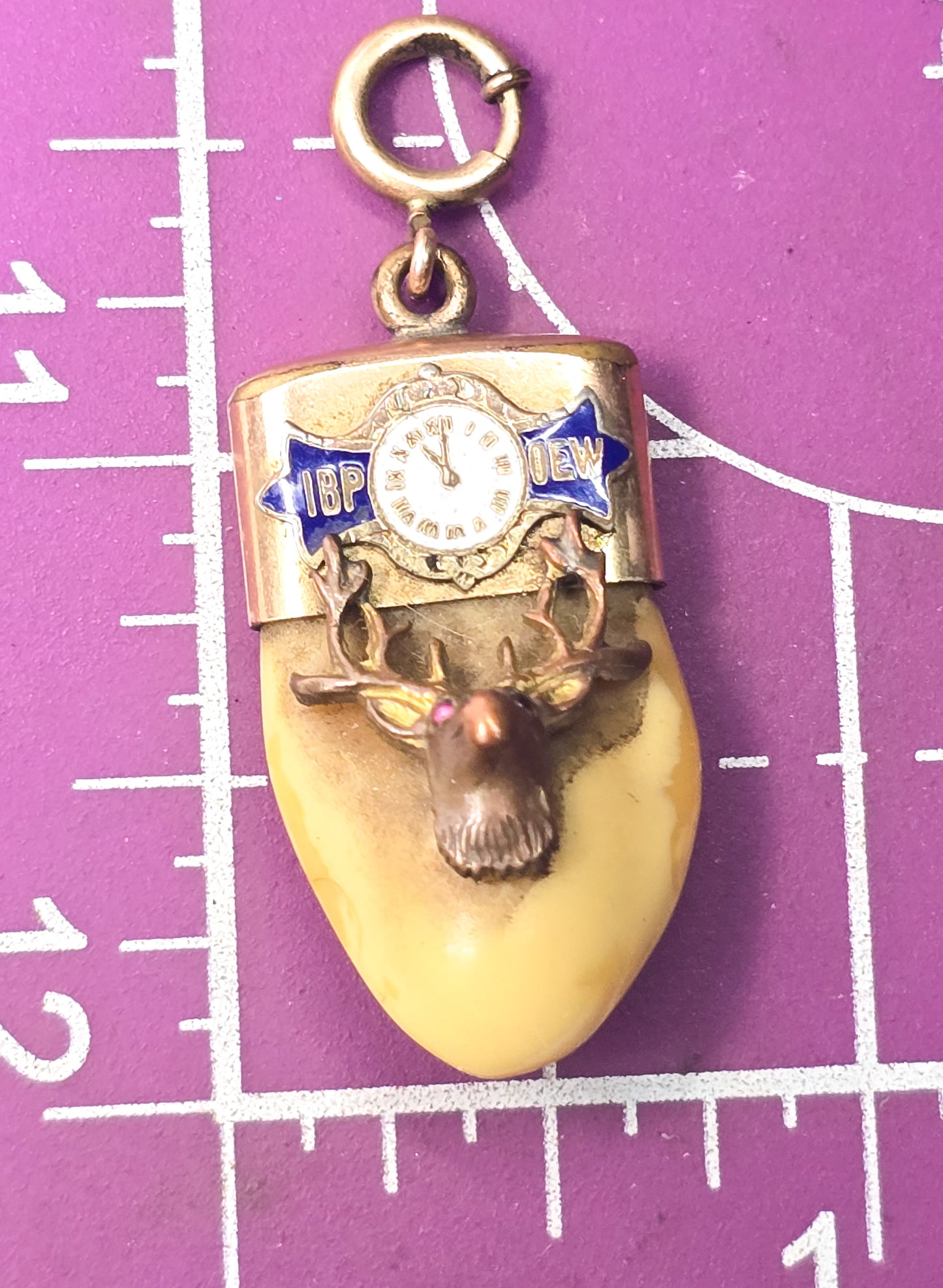 Victorian Elks Lodge Elk Tooth Gold filled enamel antique watch fob charm pendant