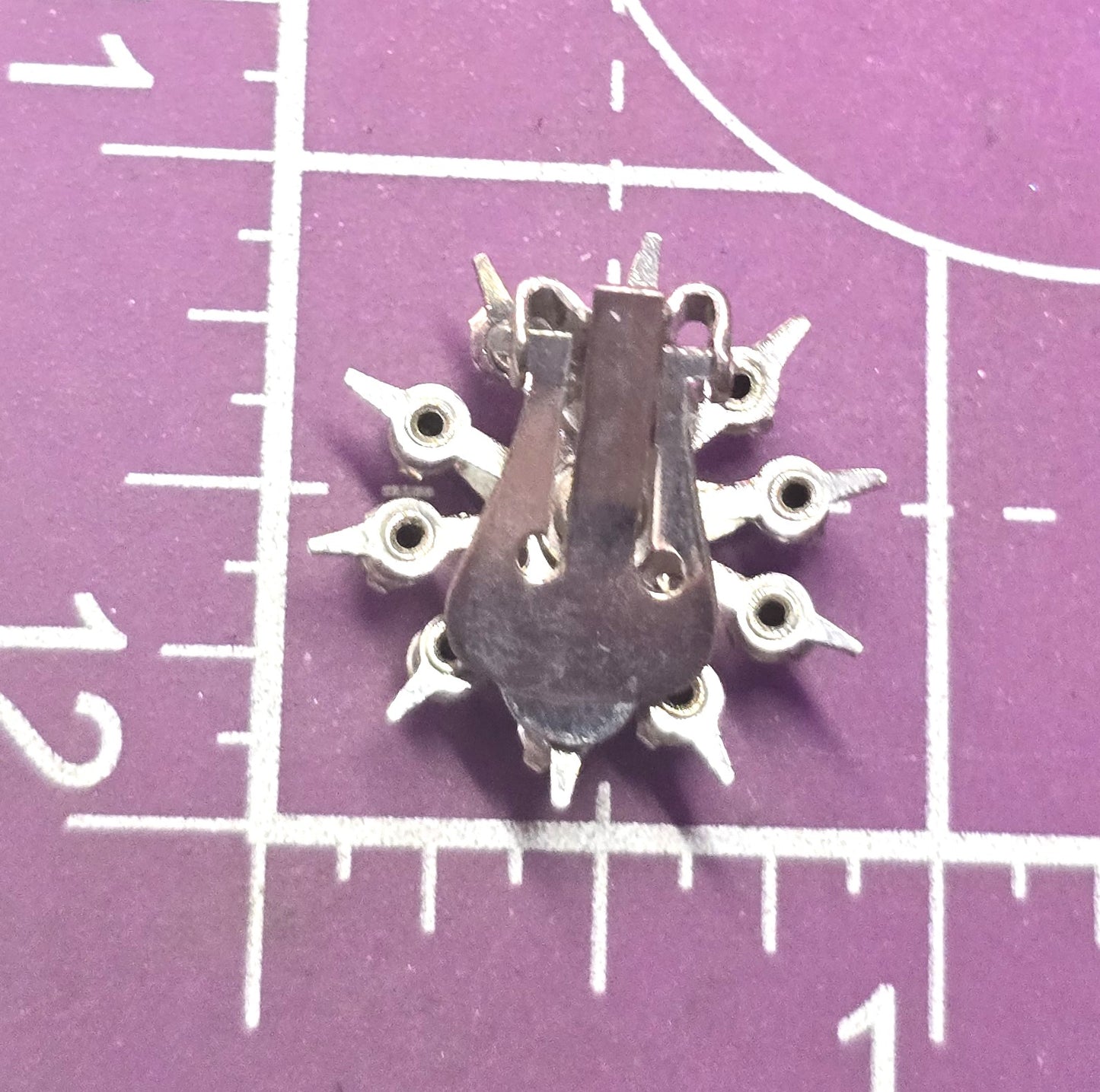 Order of the Eastern Star Masonic fraternity enamel rhinestone clip on earrings