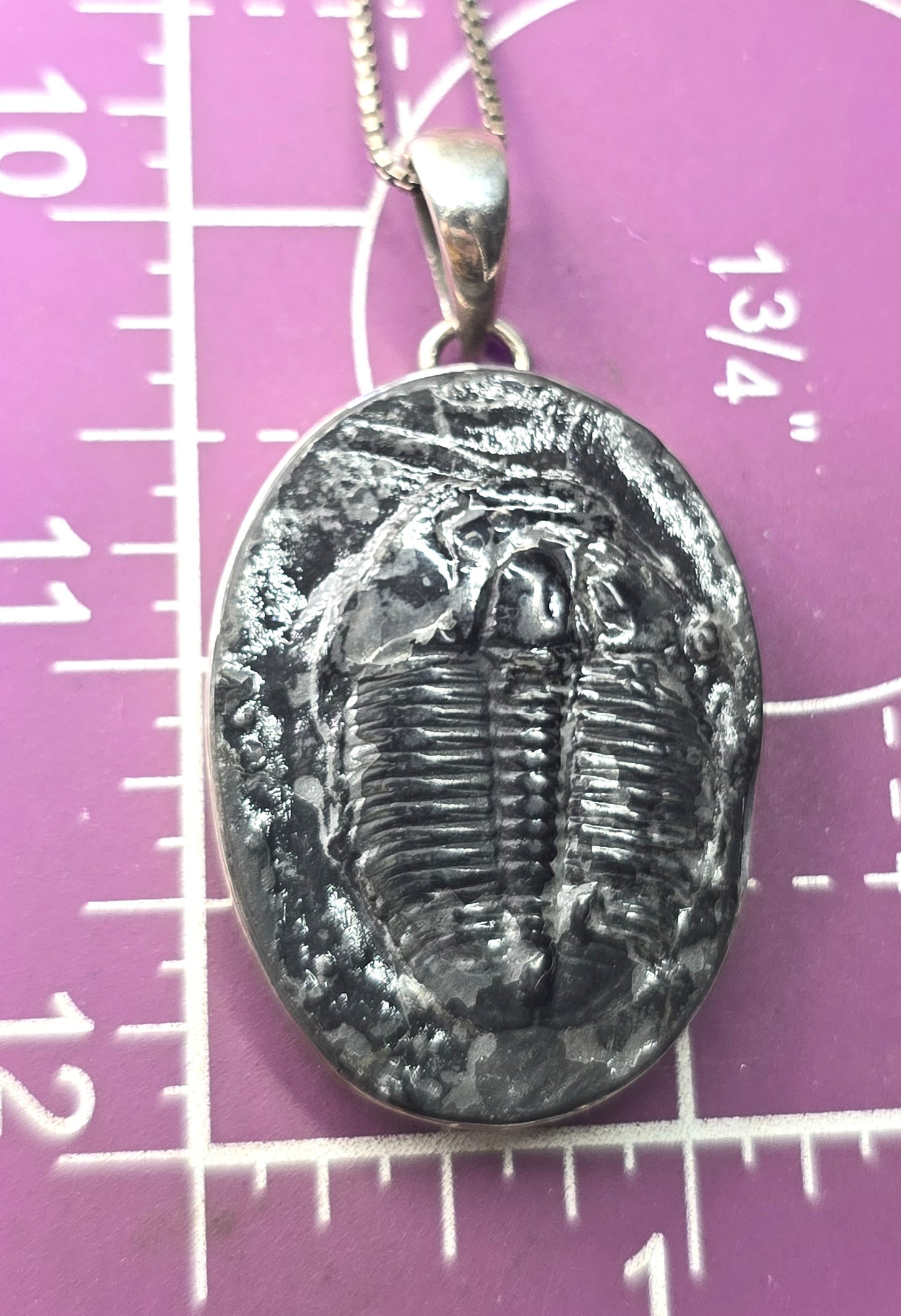 Sajen Trilobite Fossil Pendant vintage Sterling Silver framed Pendant Necklace