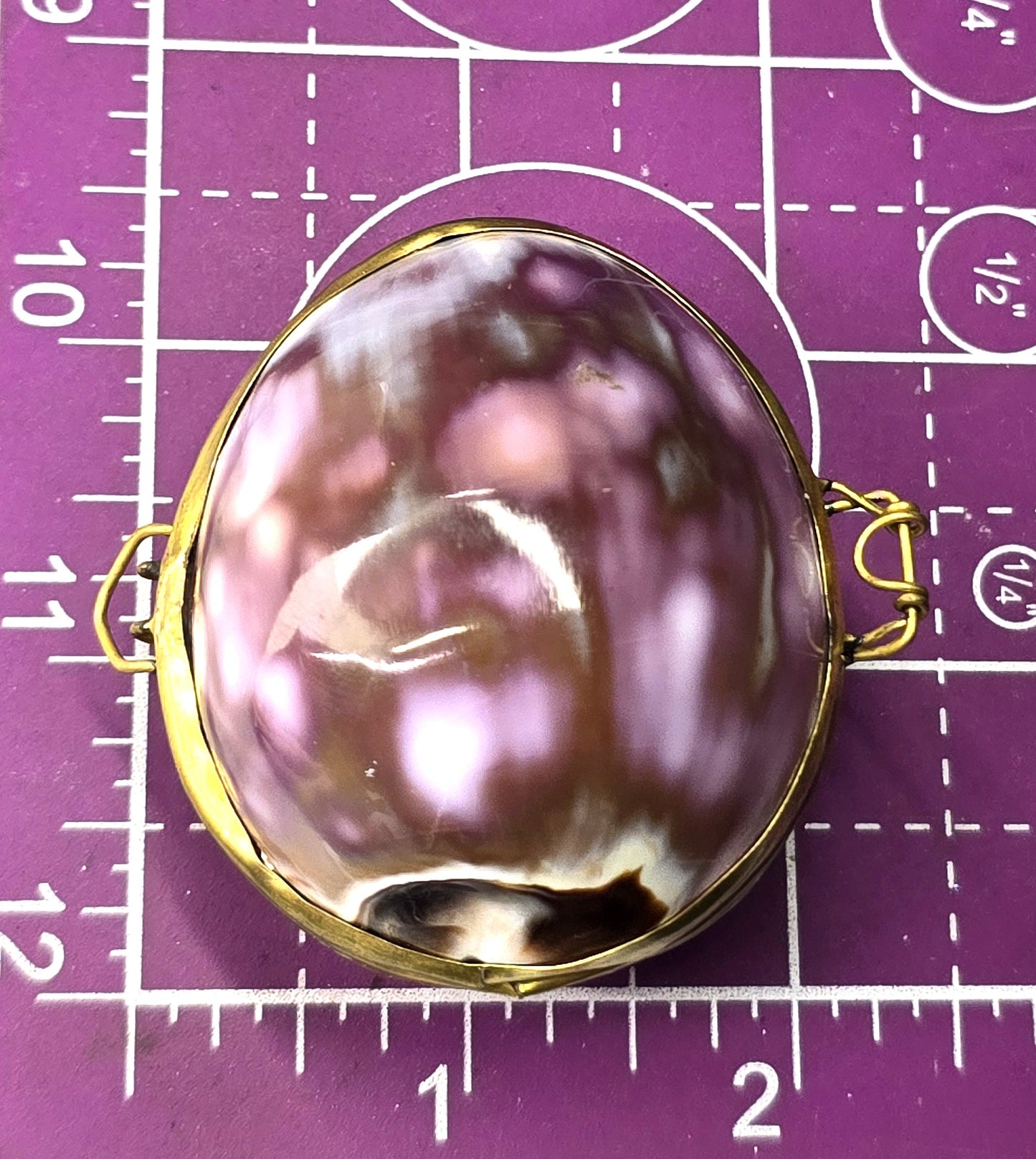 Purple Cowrie Shell Handcrafted Seashell Trinket Box Hinged Clam Shell with Clasp