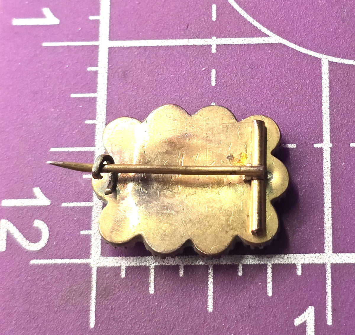 Gold Filled Antique red coral small hair mourning memento mori brooch