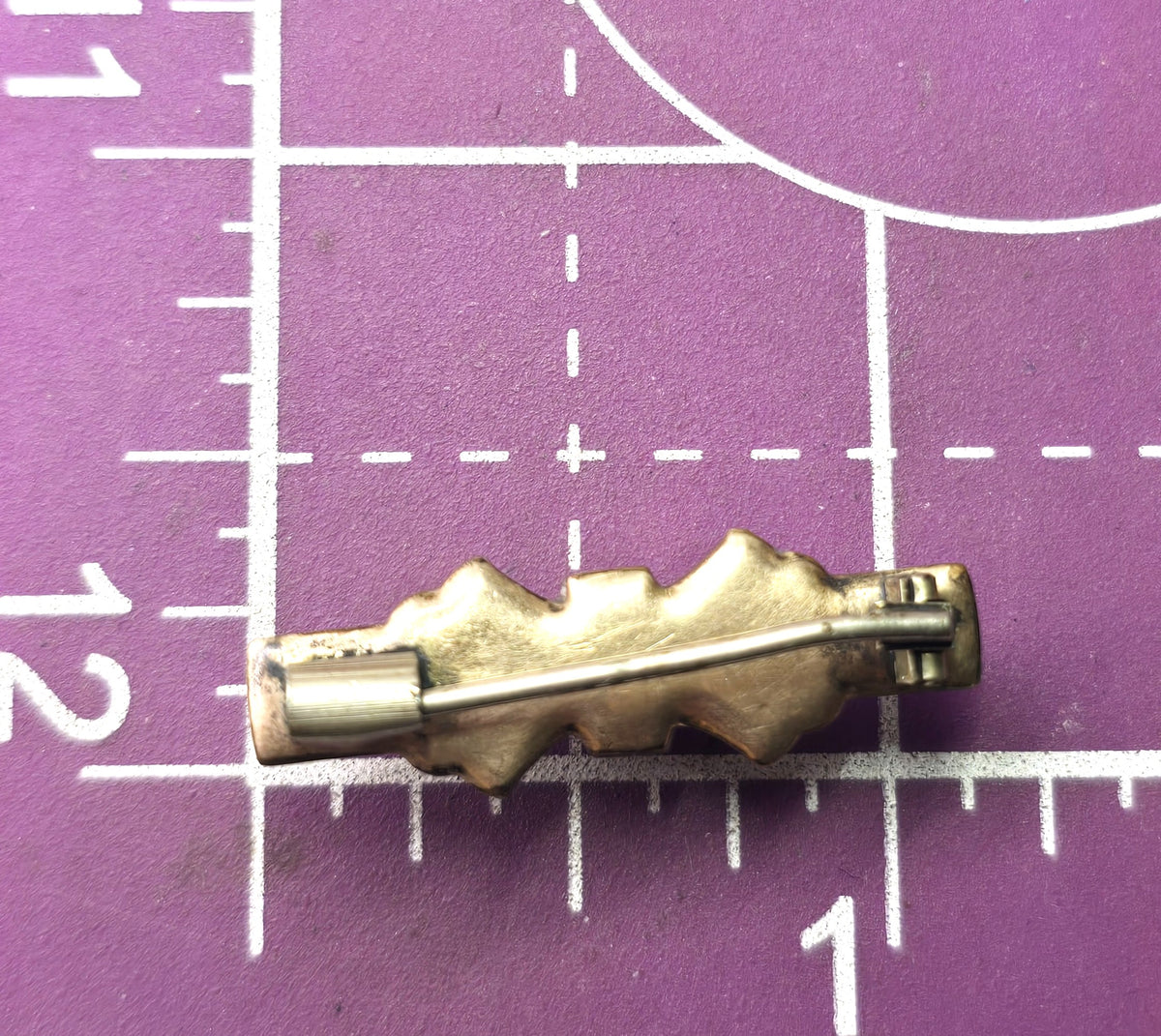 Taille d'épargne antique Victorian black hills gold pink mourning brooch Memento Mori