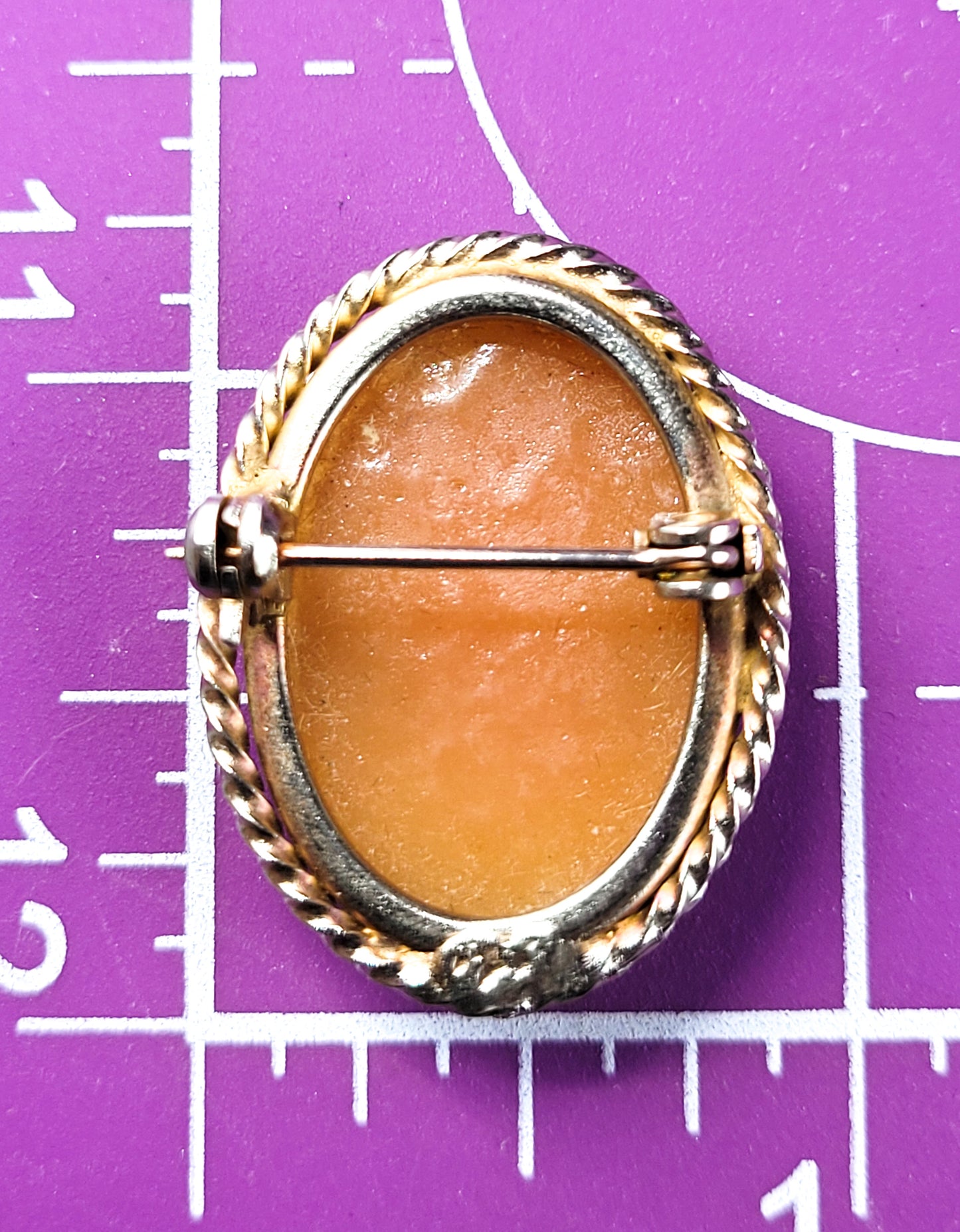 Vintage cameo gold toned framed detailed woman resin cameo brooch