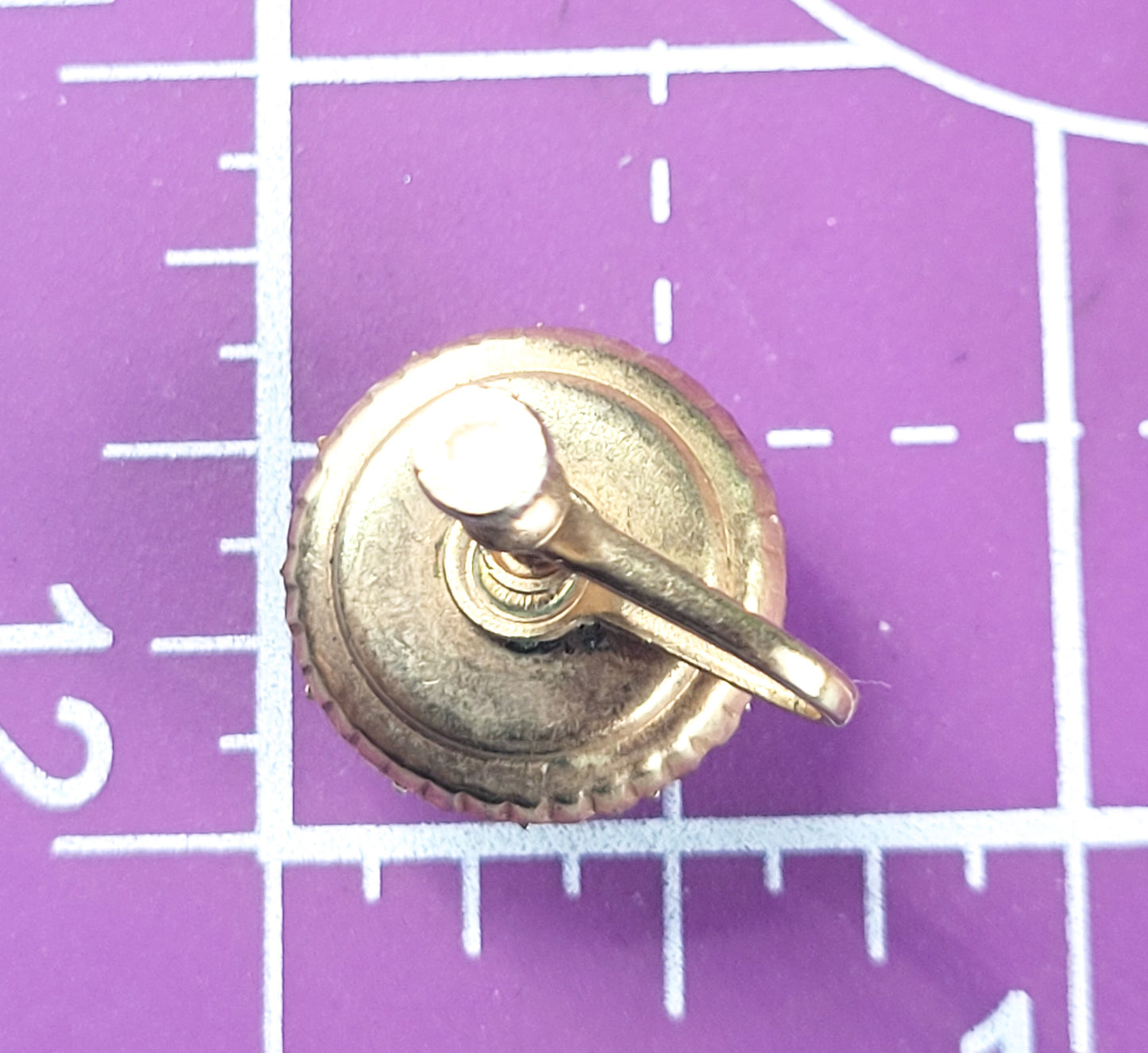 Aqua blue clear rhinestone halo vintage gold toned screw back earrings