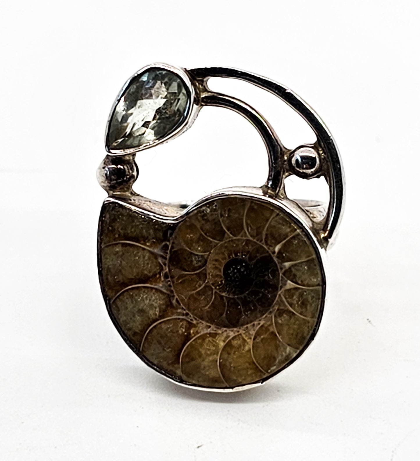 Arya Ammonite and Aquamarine Large sterling silver statement ring size 6