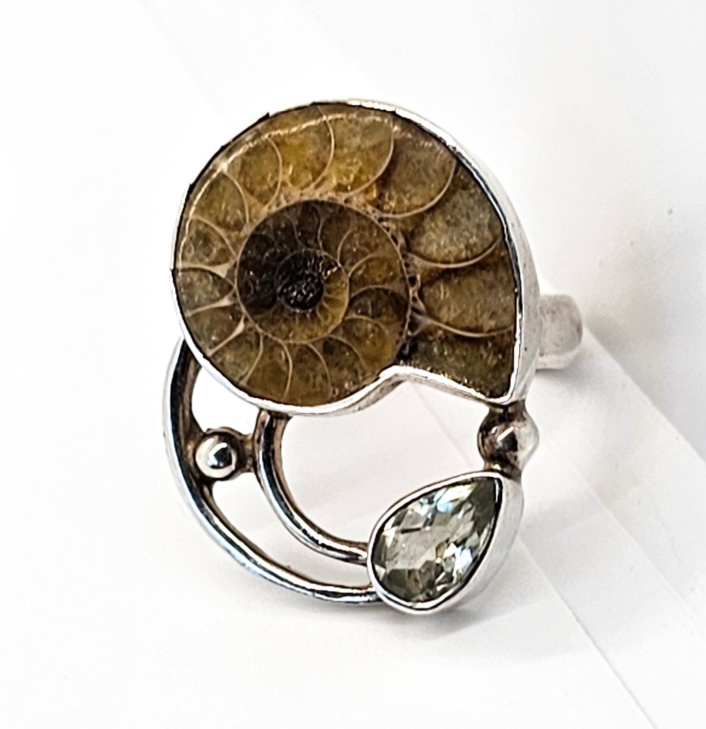 Arya Ammonite and Aquamarine Large sterling silver statement ring size 6