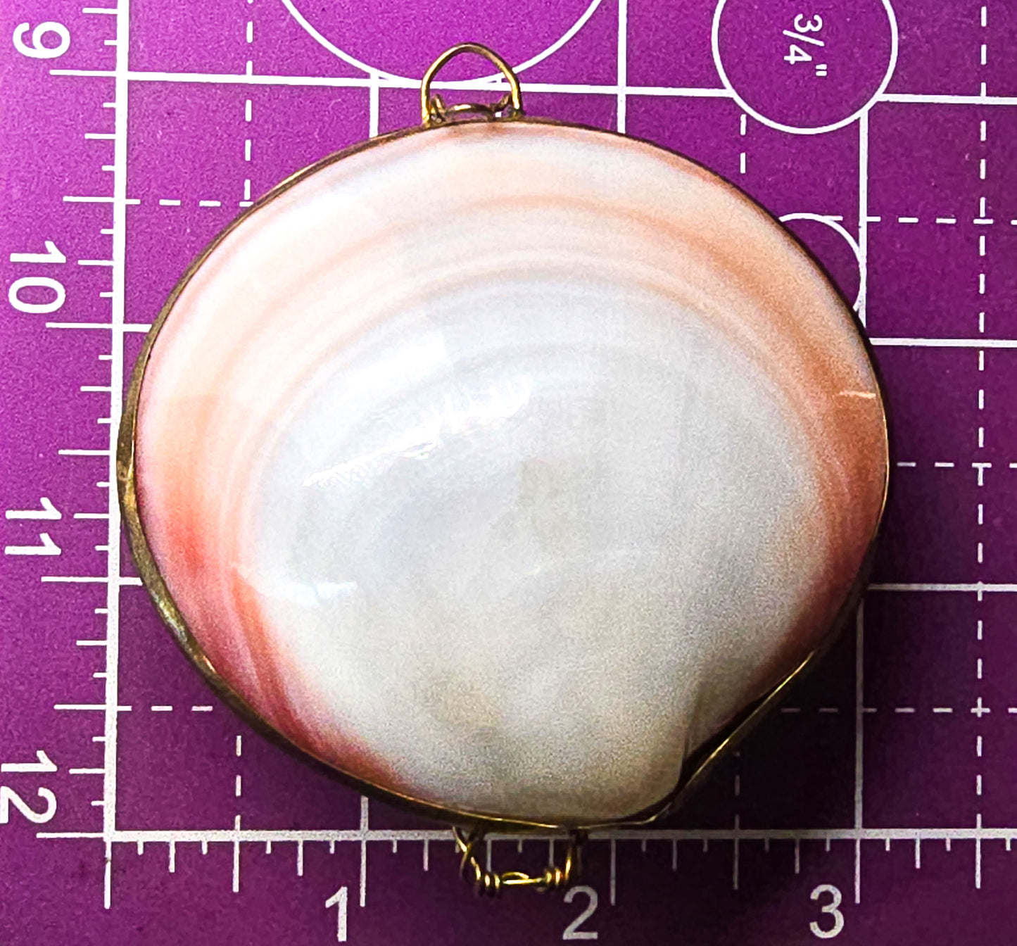 Clam Sea shell vintage hinged compact coin purse trinket box