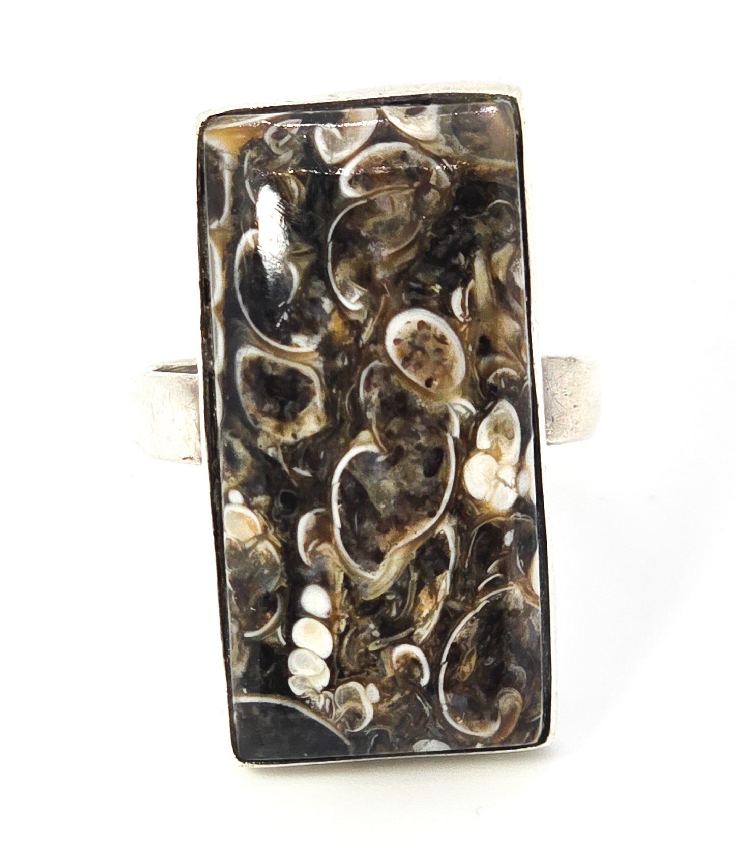 Turritella Agate fossil gemstone sterling silver ring size 6 and 1/2