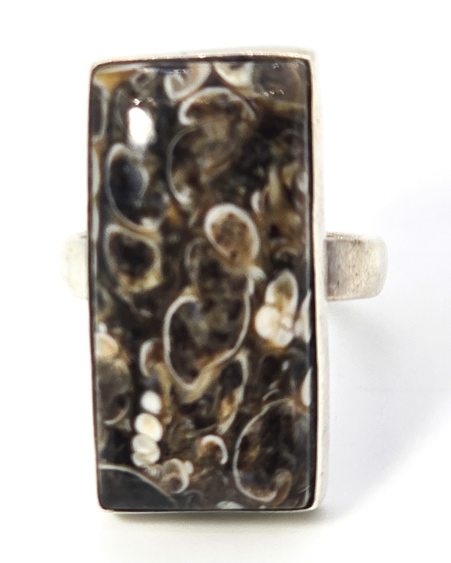 Turritella Agate fossil gemstone sterling silver ring size 6 and 1/2