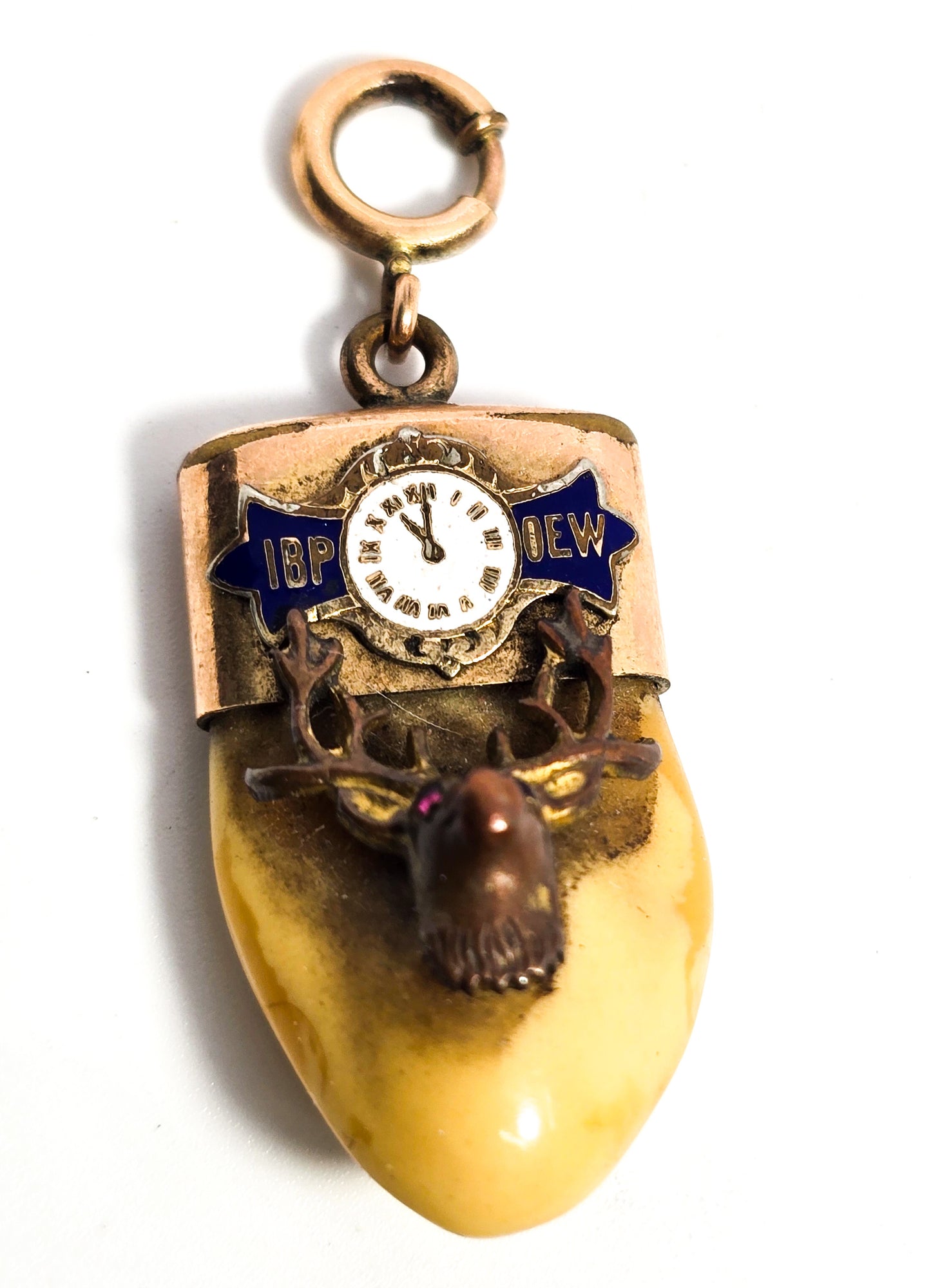 Victorian Elks Lodge Elk Tooth Gold filled enamel antique watch fob charm pendant