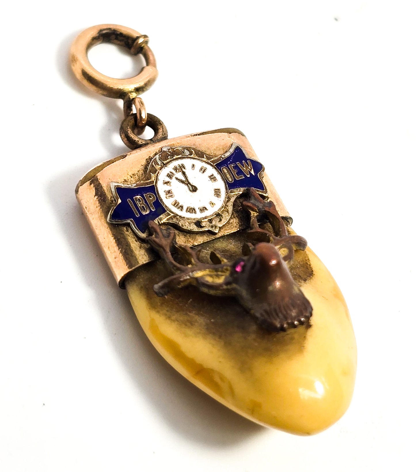 Victorian Elks Lodge Elk Tooth Gold filled enamel antique watch fob charm pendant