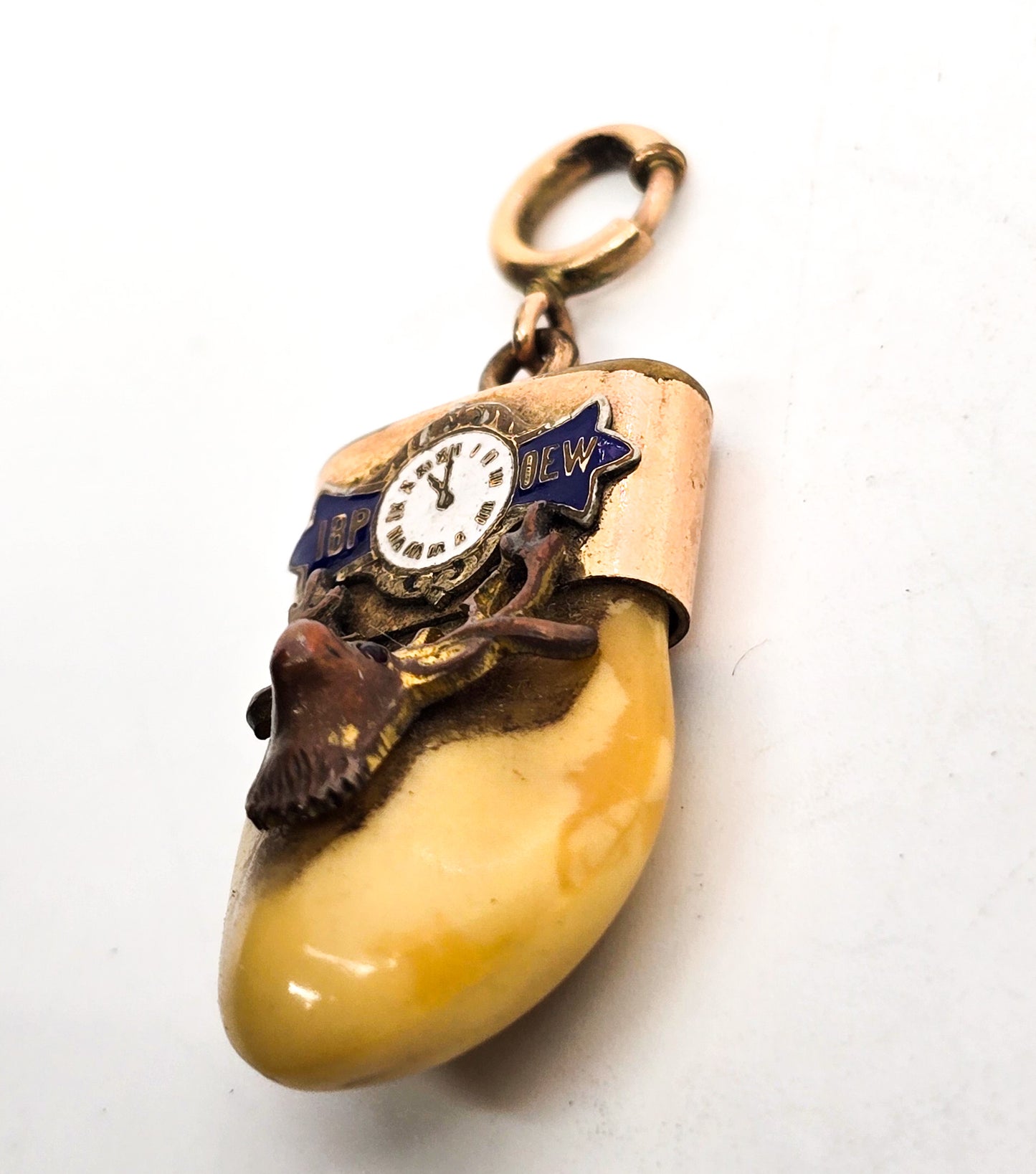 Victorian Elks Lodge Elk Tooth Gold filled enamel antique watch fob charm pendant