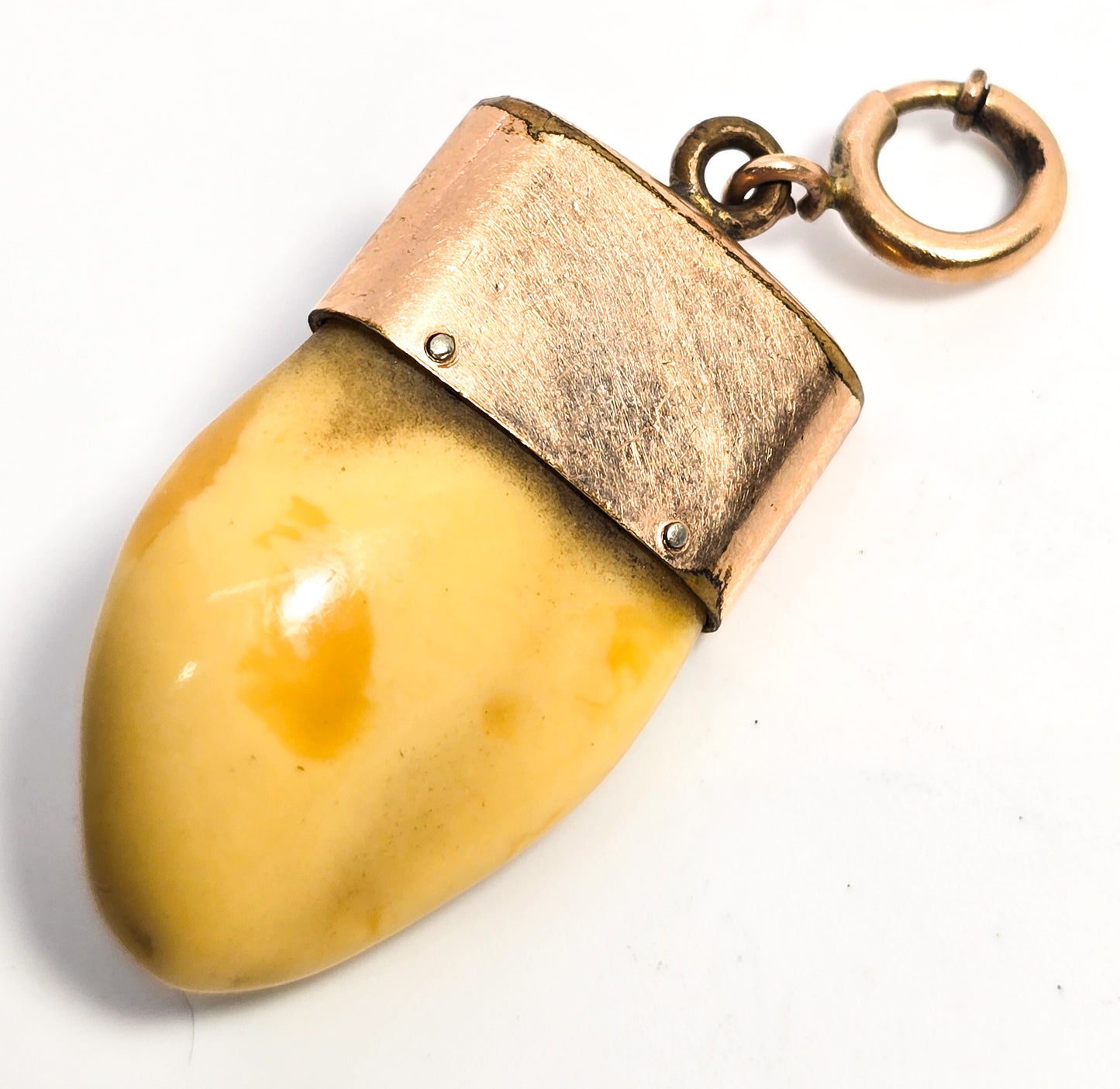 Victorian Elks Lodge Elk Tooth Gold filled enamel antique watch fob charm pendant