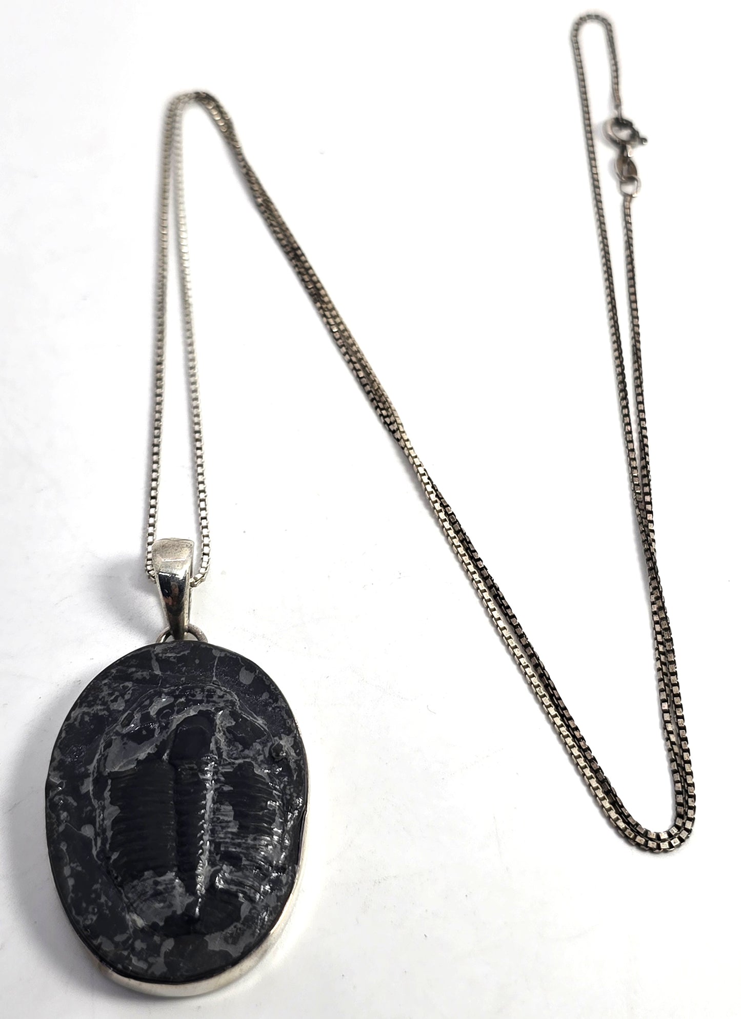 Sajen Trilobite Fossil Pendant vintage Sterling Silver framed Pendant Necklace