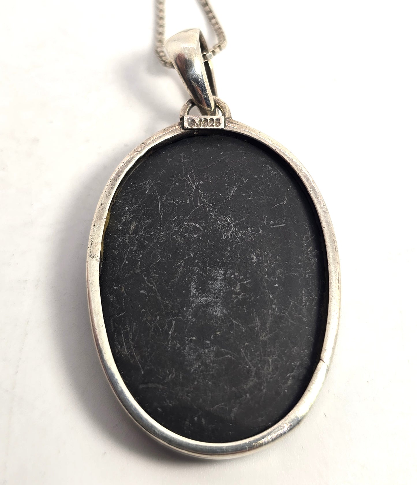 Sajen Trilobite Fossil Pendant vintage Sterling Silver framed Pendant Necklace