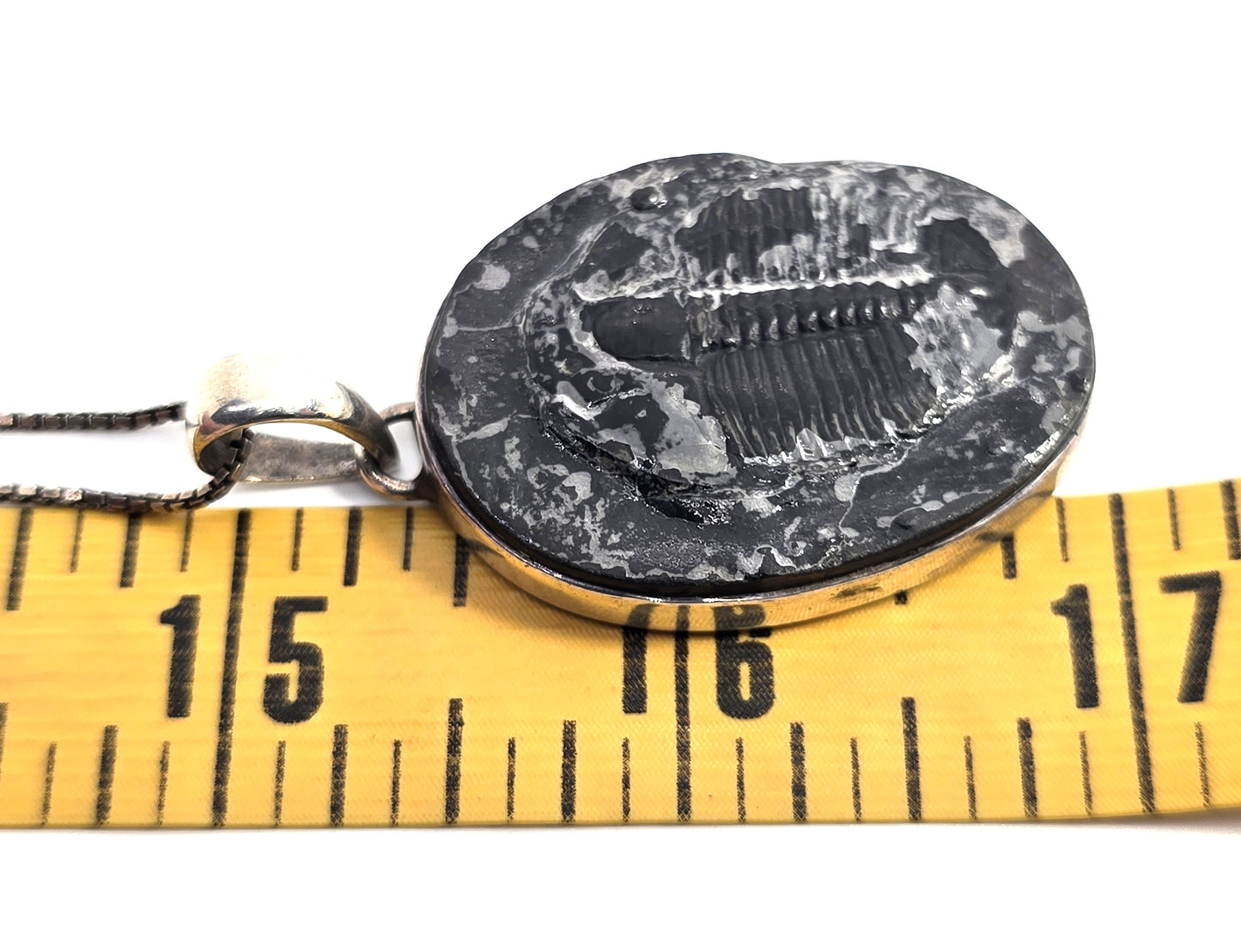 Sajen Trilobite Fossil Pendant vintage Sterling Silver framed Pendant Necklace