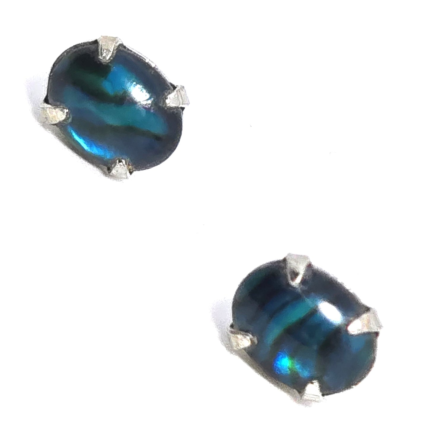 Abalone Paua shell sterling silver plated stud earrings