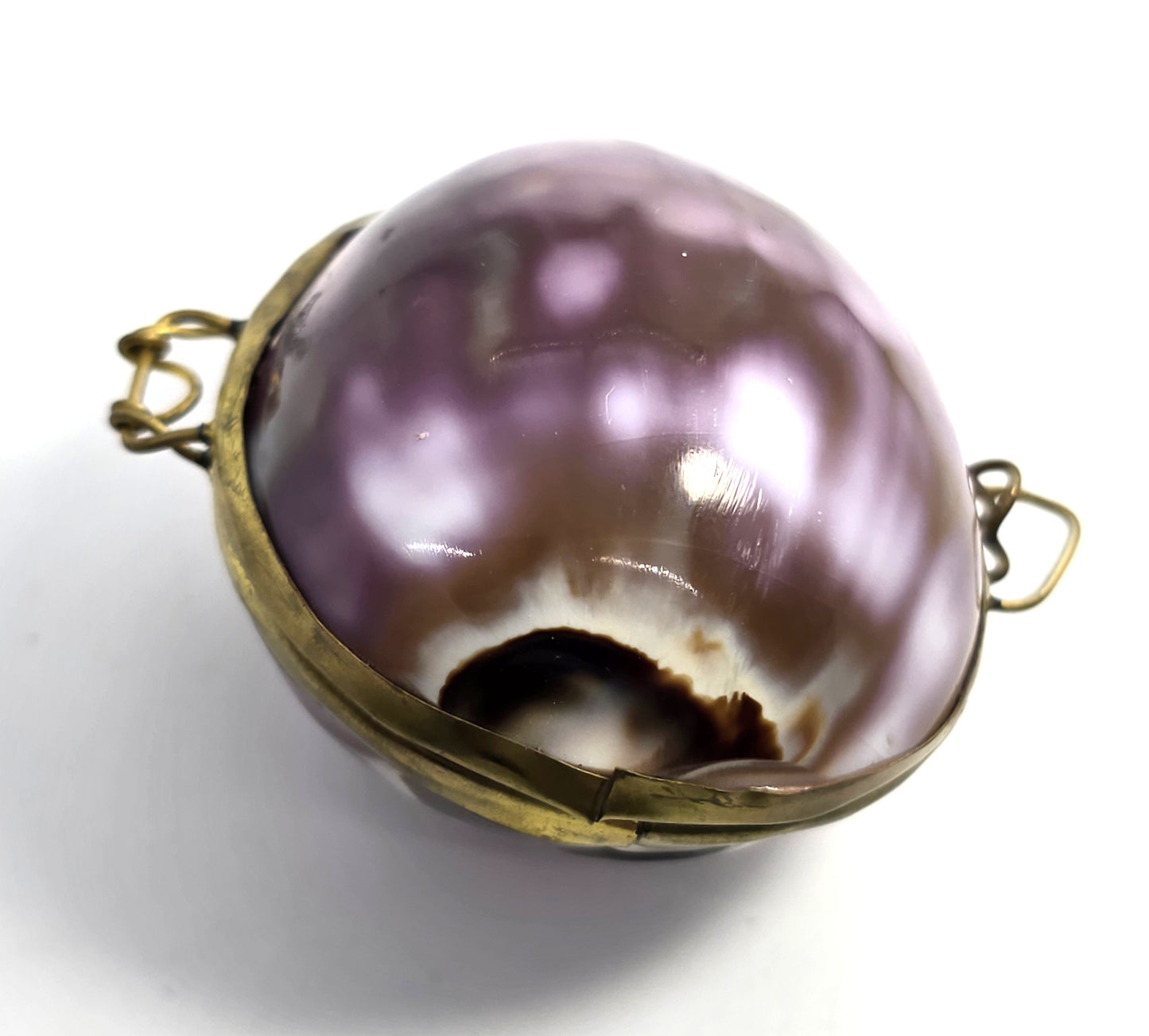 Purple Cowrie Shell Handcrafted Seashell Trinket Box Hinged Clam Shell with Clasp