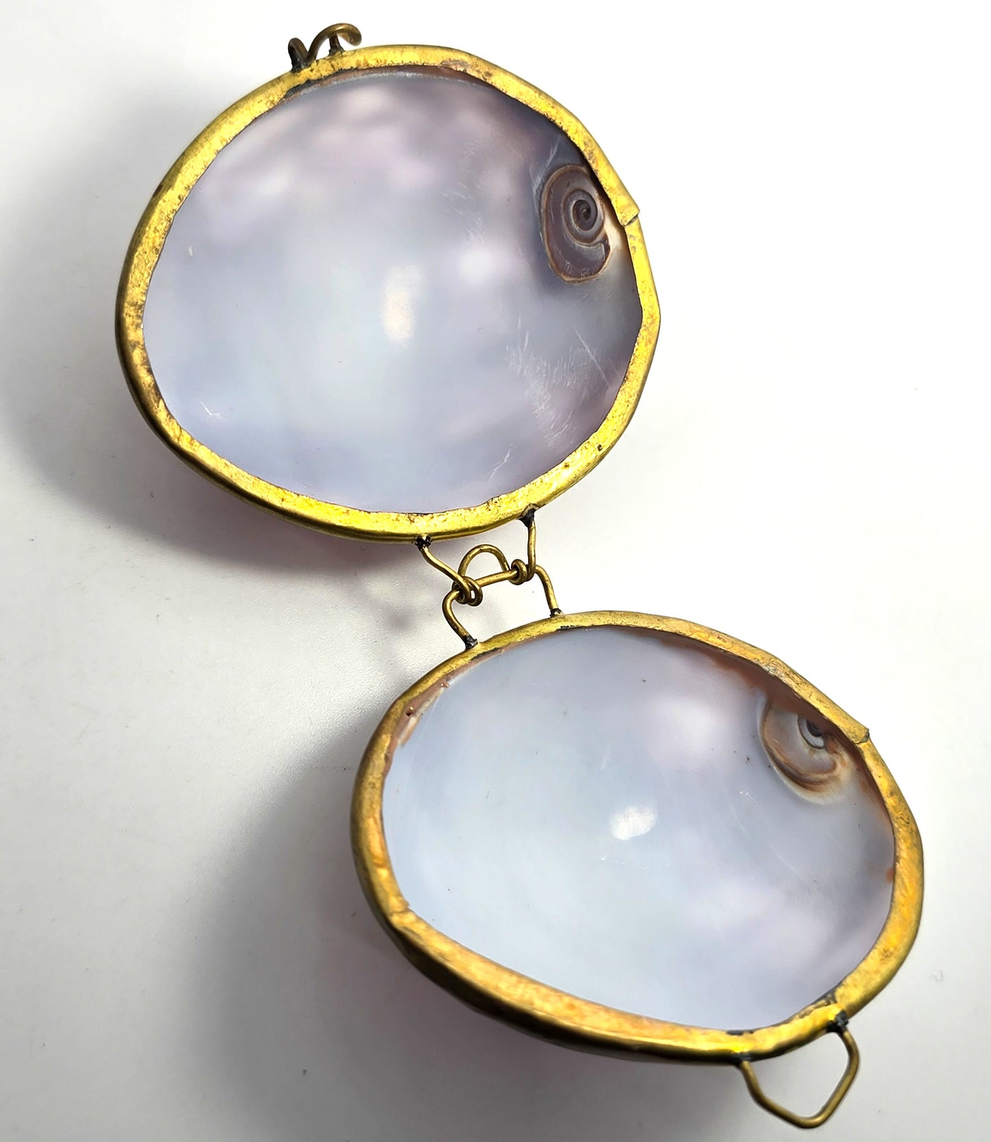 Purple Cowrie Shell Handcrafted Seashell Trinket Box Hinged Clam Shell with Clasp