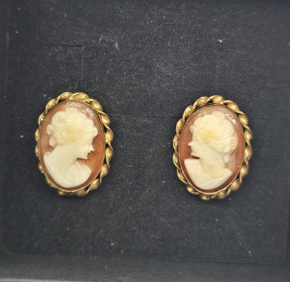 Van Dell carved shell cameo 12k Gold Filled vintage screw back earrings