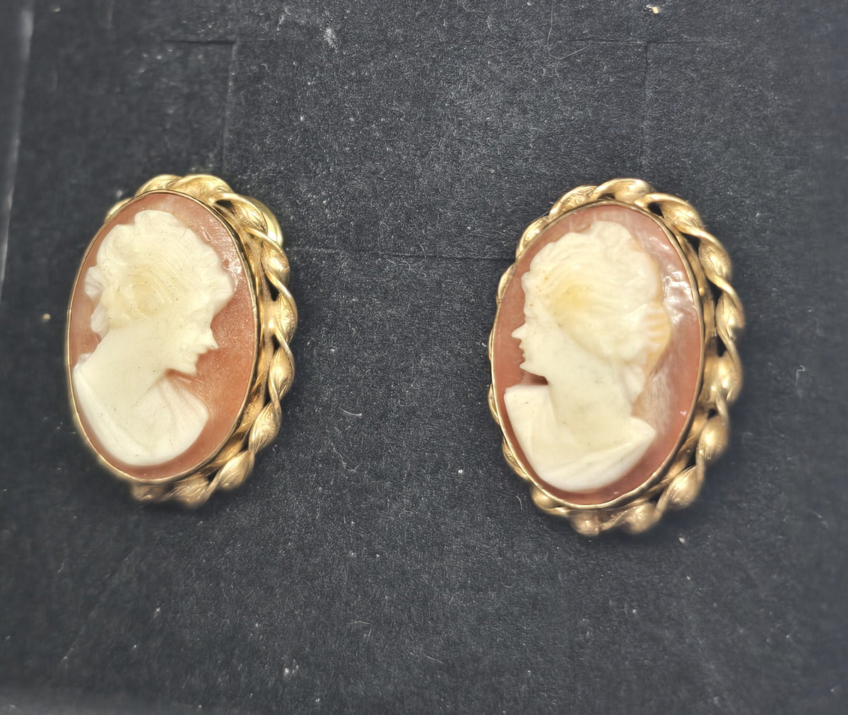 Van Dell carved shell cameo 12k Gold Filled vintage screw back earrings