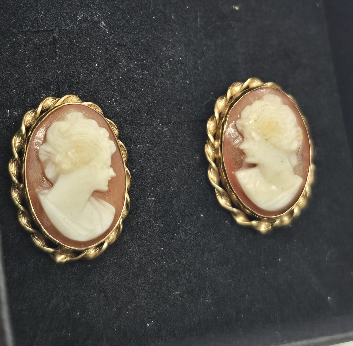 Van Dell carved shell cameo 12k Gold Filled vintage screw back earrings